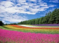 Psicologia das cores: como ela pode trazer mais equilíbrio para a sua vida